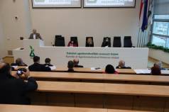 Mini IMG 0298